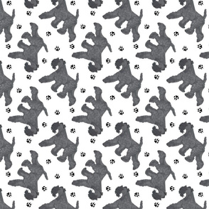 Trotting Kerry Blue Terrier and paw prints - white