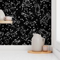 constellations // black and white stars kids nursery baby animals night time sky dreams 