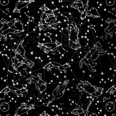 constellations // black and white stars kids nursery baby animals night time sky dreams 