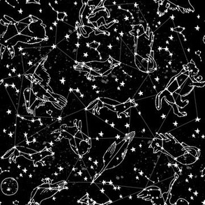 constellations // black and white stars kids nursery baby animals night time sky dreams 