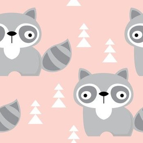 raccoons on pink