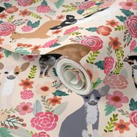 Chihuahua dogs dog cute florals fabric best dog fabric