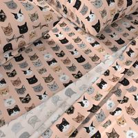 cat faces cute cats fabric sweet cats blush girls kittens siamese cat lady fabric