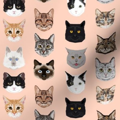 Cocktail Napkins Cats Hipster Black White Cute Animals Pets Cat Kitten Set of 4 