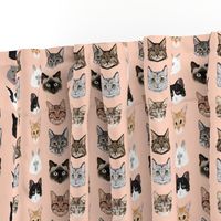 cat faces cute cats fabric sweet cats blush girls kittens siamese cat lady fabric