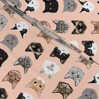 cat faces cute cats fabric sweet cats blush girls kittens siamese cat lady fabric