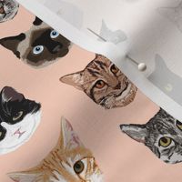 cat faces cute cats fabric sweet cats blush girls kittens siamese cat lady fabric