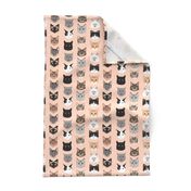 cat faces cute cats fabric sweet cats blush girls kittens siamese cat lady fabric