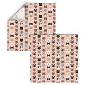 cat faces cute cats fabric sweet cats blush girls kittens siamese cat lady fabric