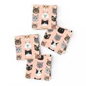 cat faces cute cats fabric sweet cats blush girls kittens siamese cat lady fabric