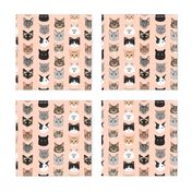 cat faces cute cats fabric sweet cats blush girls kittens siamese cat lady fabric