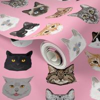 cat faces cute cats sweet kittens kitty cute c at fabrics