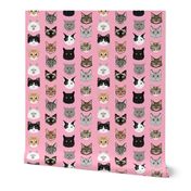 cat faces cute cats sweet kittens kitty cute c at fabrics