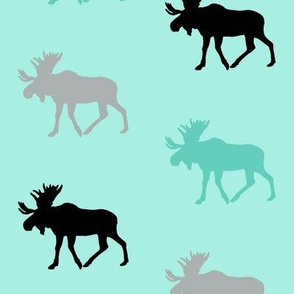 Multi Moose || teal & black
