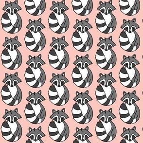 Raccoon // Pink background