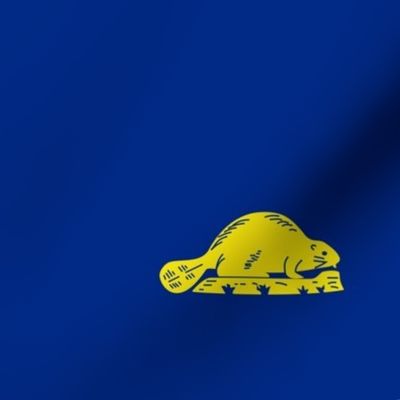 Oregon flag - beaver