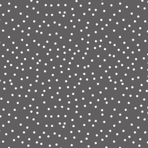Grey Swiss Polka Dot
