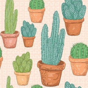 Sketchy Potted Cactus Collection