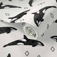 orca whales // ocean water kids nautical summer kids 