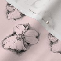 Elegant Dogwood Drawing in Pink