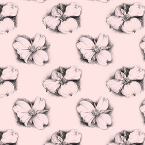 Elegant Dogwood Drawing in Pink