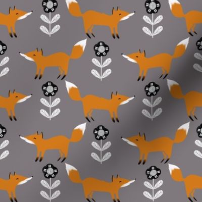 fox // fall autumn woodland grey foxes