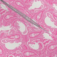 Paisley-Power-SMALL-pink-rat-print