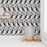 puffin // bird grey winter kids cute bird animals puffins