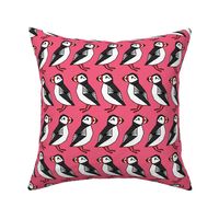 puffin// puffins birds bird pink girls pink nursery bird cute winter bird