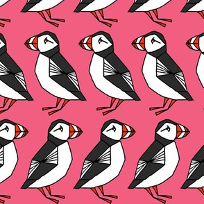 puffin// puffins birds bird pink girls pink nursery bird cute winter bird