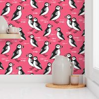 puffin // pink puffins cute fish birds adorable winter birds