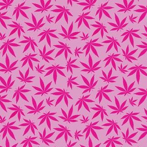 INDICA pink