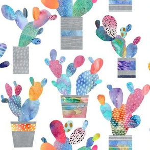 Watercolour Cactus, Cacti