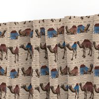 Rows of Camels