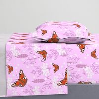 butterfly_on_pink