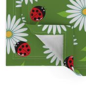 daisies and ladybugs