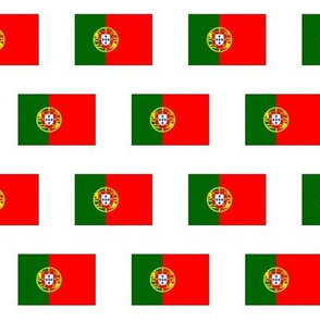 Portuguese Flag // Small