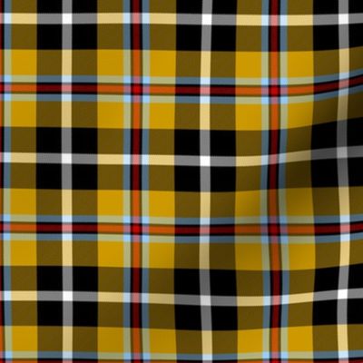 Cornish Tartan // Small