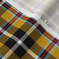 Cornish Tartan // Small