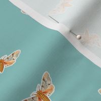 Delicate Moth on Robin Egg Blue