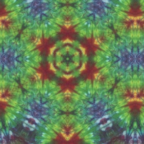 Kaleidoscope Tie Dye Green