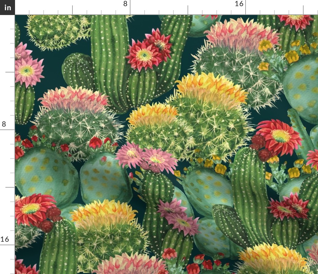 Tropical Cactus Flowers
