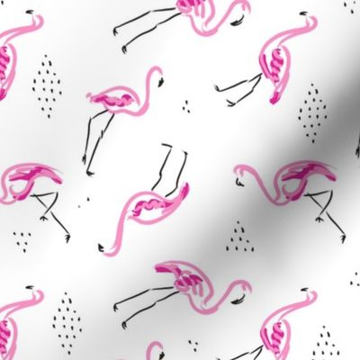 Flamingo 1