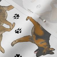 Trotting German Shepherd dogs and paw prints - white