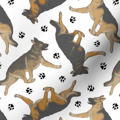 Trotting German Shepherd dogs and paw prints - white