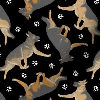 Trotting German Shepherd dogs and paw prints - black