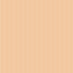 ButtonedDown: Peach Stripes