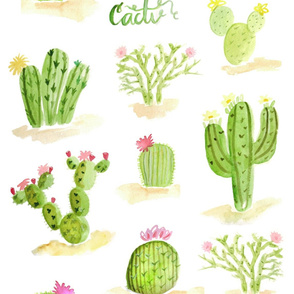Watercolor tropical cacti flowers