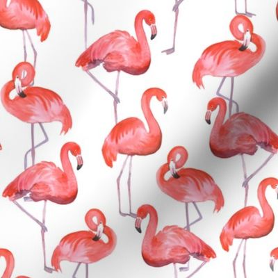 Flamingo (medium scale)