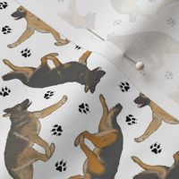 Tiny Trotting German Shepherd dogs and paw prints - white